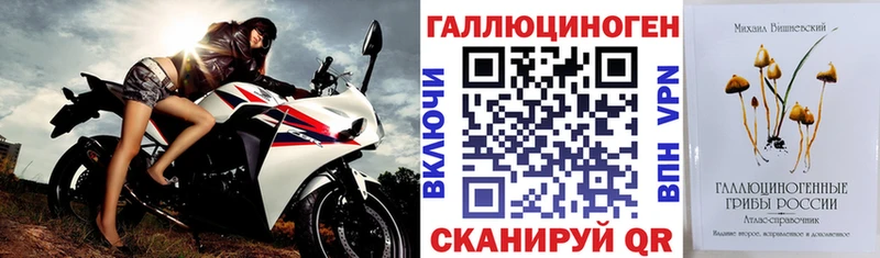 Галлюциногенные грибы мицелий  гидра как войти  сайты даркнета какой сайт  Сальск 